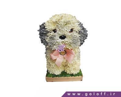 گل فروشی آنلاین - گل تولد نوزاد سگ باهوش - Flower Toy | گل آف